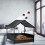 Outdoor Dog Bed with Canopy for Small & Medium Breeds 2