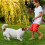 Ensemble de jouets pour chien en 4 parties 3