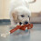 Hundespielzeug Wurst 2