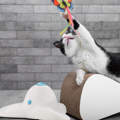 Jouet pour chat avec papillon rotatif - Jeu interactif