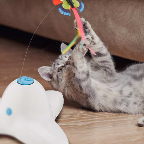 Jouet pour chat avec papillon rotatif - Jeu interactif 1