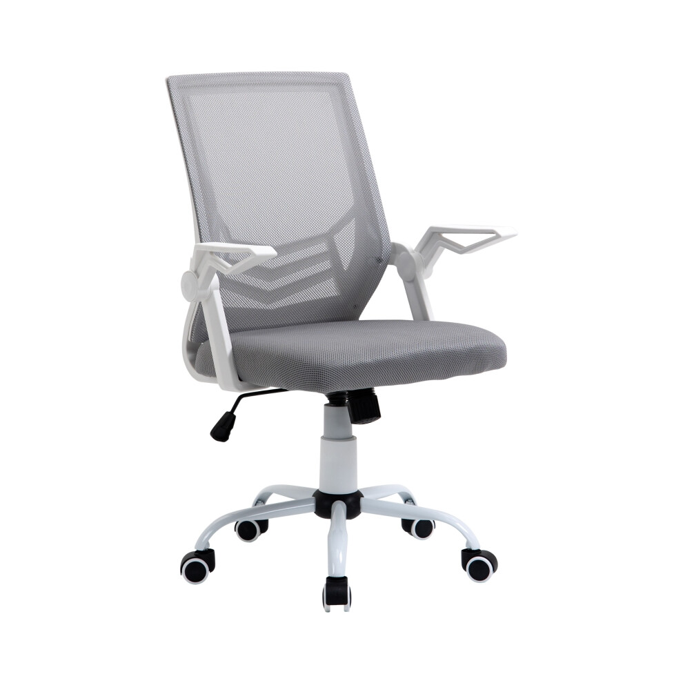 Ergonomic Mesh Office Chair with Flip-up Armrests Lumbar Support Adjustable Height & Tilt for Comfortable Working - Grey-image-OPC-PMFQ6H9-NEW