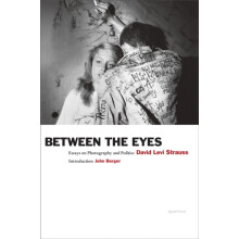 Between the Eyes by David Levi Strauss Paperback Book