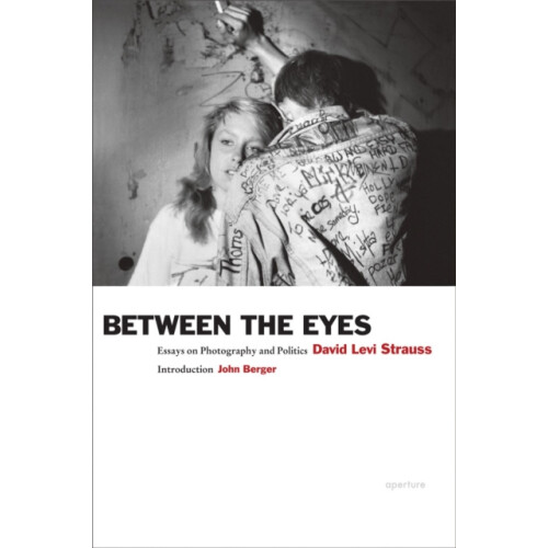 Between the Eyes by David Levi Strauss Paperback Book