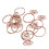 (Rings Shape) 100Pcs Gold Planner Clips Anti-Rust Electroplating Quadrilateral 4