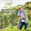 Tomatengewächshaus aus Kunststoff 3