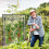 PVC tomato greenhouse 3