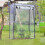 PVC tomato greenhouse 2