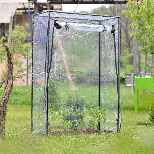 PVC tomato greenhouse 1