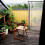 PVC tomato greenhouse 5