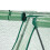 Plastic greenhouse with 2 doors 6