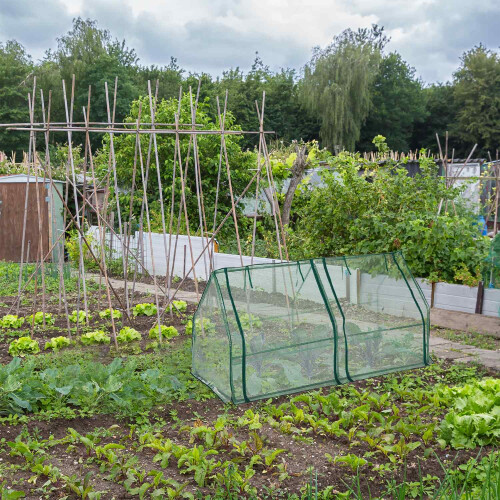 Plastic greenhouse with 2 doors 1