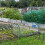 Kunststoff-Gartengewächshauszelt 2