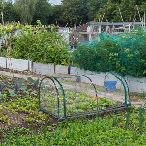 Kunststoff-Gartengewächshauszelt 1