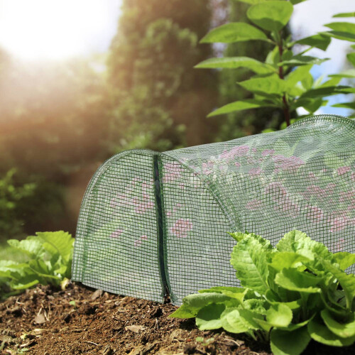 Tunnel greenhouse garden 1