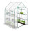 Walk-in greenhouse with 4 windows 1