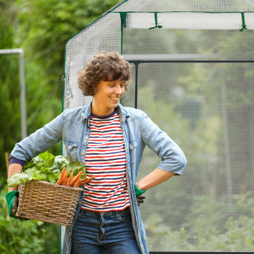 Walk-in greenhouse with 4 windows 2
