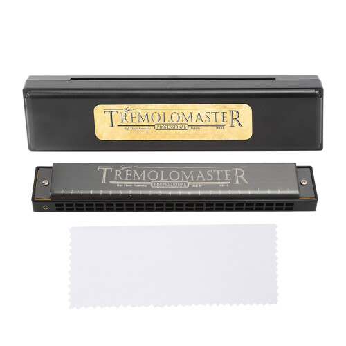 (Noir mat) Professional Diatonic Harmonica C Key 24-Hole Matt Black