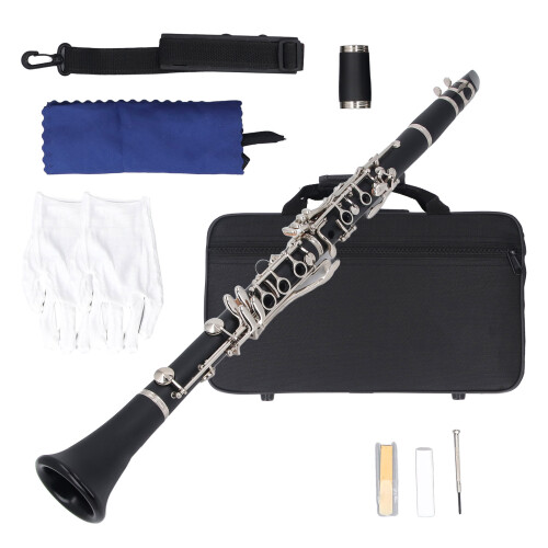 Professional Bb Clarinet 17 Keys Plastic Instrument for Practice
