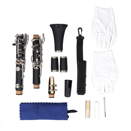 Professional Bb Clarinet 17 Keys Plastic Instrument for Practice 1