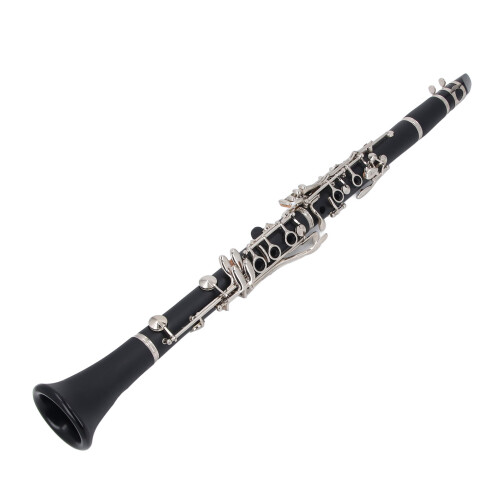 Professional Bb Clarinet 17 Keys Plastic Instrument for Practice 2