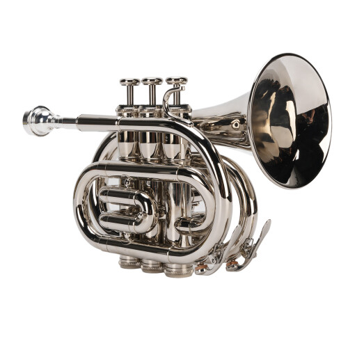 Mini Bb Trumpet Set Plated Brass Beginner Wind Instrument 1