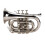 Mini Bb Trumpet Set Plated Brass Beginner Wind Instrument 4