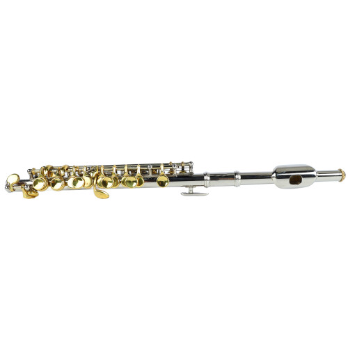 Piccolo Set with Cleaning Rod Cloth Silver Gold Key Beginner 1