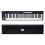 WORLDE Blue Whale 61-Key USB MIDI Controller Semi-Weighted RGB Backlit 1