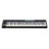 WORLDE Blue Whale 61-Key USB MIDI Controller Semi-Weighted RGB Backlit 4