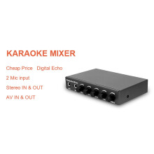 Microphone Audio Mixer for KTV/Meeting/Party/Outdoor Use