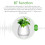 Smart LED Music Flower Pot BT Wireless Night Light Touch-Sensor 4