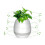Smart LED Music Flower Pot BT Wireless Night Light Touch-Sensor 2