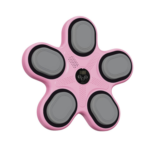 Music Boxing Machine with Gloves BT Music Lighting 9 Rhythm 9 Speed 2