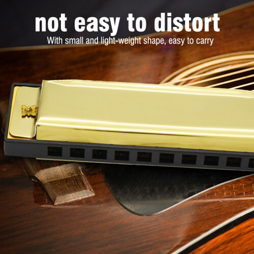 IRIN Lightweight Gold 10 Hole Harmonica Musical Instrument 2