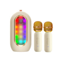 Mini Karaoke Machine 2 Mic Wireless Speaker Rechargeable LED Lights
