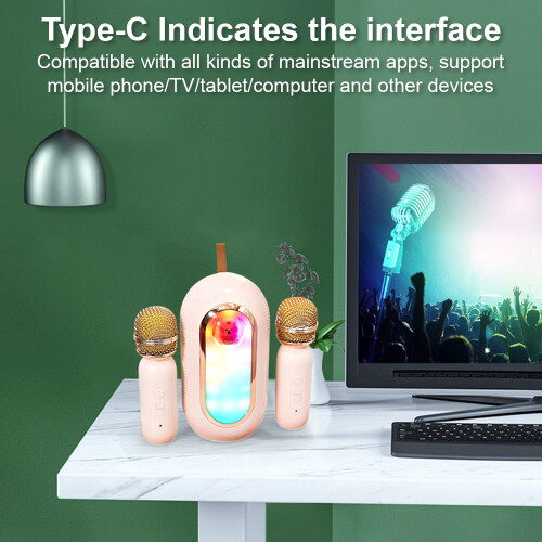 Mini Karaoke Machine 2 Mic Wireless Speaker Rechargeable LED Party 2