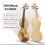 4/4 Violin Spruce Top Maple Tiger Stripe Ebony 1