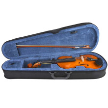 Natural Handmade Acoustic Violin with Bow Rosin Bag