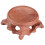 Crystal Ball Base Walnut Solid Wood Gourd Egg Carving(Rosewood) 4