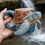 (B) suitable for ocean lovers 3d ceramic coffee mug, marine animal theme hand painted drinkware 2