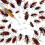 10pcs Cockroach Gel Bait, Cockroach Bait Gel, Cockroach Roach Killer 5