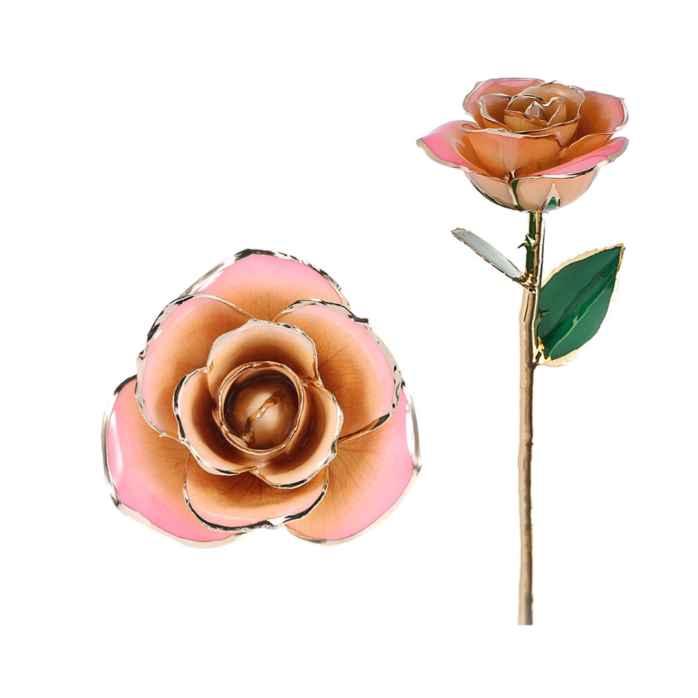 Pink White 24k Gold Rose Forever Long Stem Dipped Gift-image-OPC-PMFTKHR-NEW
