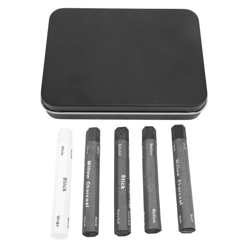 5PCS Charcoal Drawing Sticks with Storage Box for Sketching