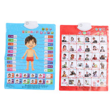2pcs Chinese English Phonics Posters for Toddlers Kids