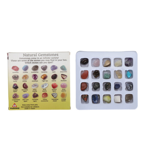 (Type 1) 20pcs Rock Stone Collection Kit Kids Science Set Type 1