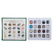 (Type 2) 20pcs Rock Stone Collection Kit Kids Science Set Type 1