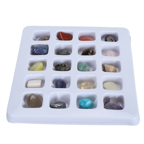(Type 1) 20pcs Rock Stone Collection Kit Kids Science Set Type 1 2