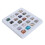 (Type 2) 20pcs Rock Stone Collection Kit Kids Science Set Type 1 4
