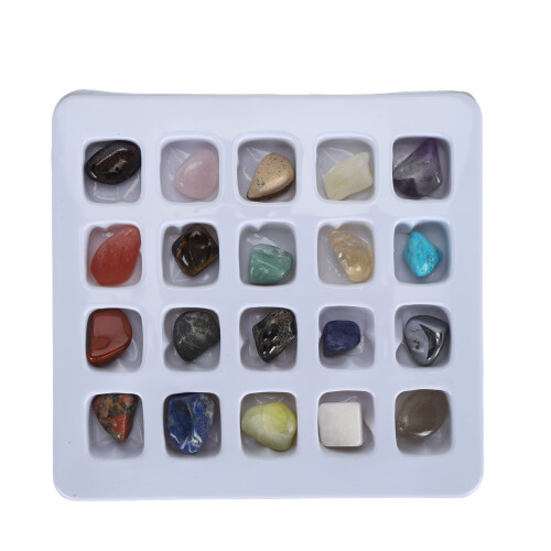 (Type 1) 20pcs Rock Stone Collection Kit Kids Science Set Type 1 1